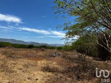 Terreno en Venta Palmillas Jalisco