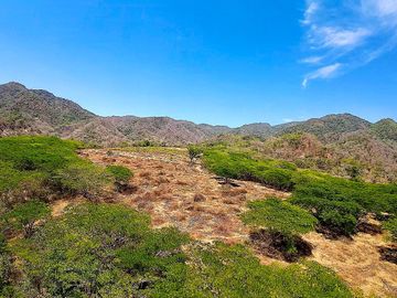 Terreno en Venta Palmillas Jalisco