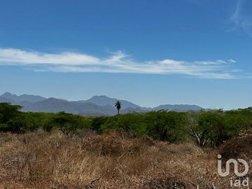 Terreno en Venta Palmillas Jalisco