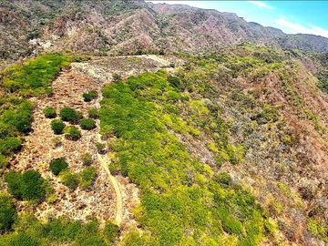 Terreno en Venta Palmillas Jalisco