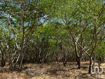 Terreno en Venta Palmillas Jalisco