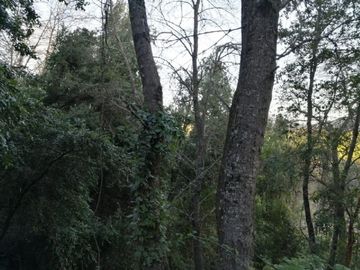 SAN CLEMENTE, SIETE TAZAS