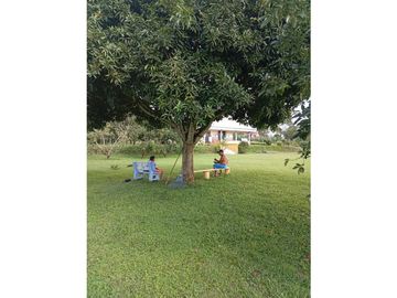 SE VENCE FINCA VIA A MARABELES ALCALA