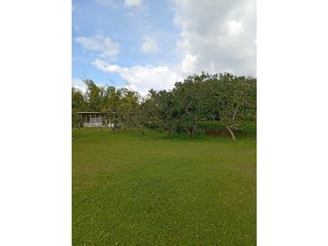 SE VENCE FINCA VIA A MARABELES ALCALA