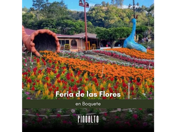 VENTA DE APARTAMENTOS EN CHIRIQUI