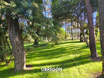 Casa en Venta en Cariló  Cabaña de Madera en Venta