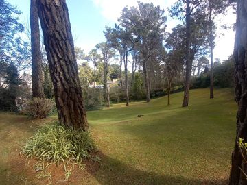 Cariló Cod 622 Alquiler 13 plazas