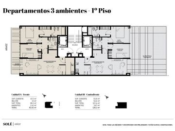 Departamento de 3 dormitorios mas Dependencia en SOLE Araoz - Categoria y Amenities