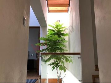 Venta Casa de 4 niveles en colonia Balcones Coloniales con jardín y roof garden