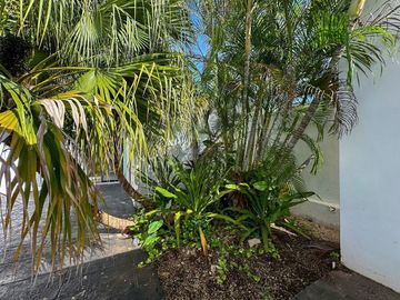 Casa en venta con amplio terreno En San Pedro Cholul dentro de Mérida Yucatán.