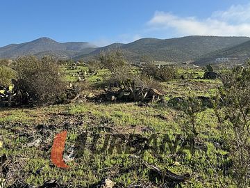 PARCELA EN FUNDO EL HINOJAL