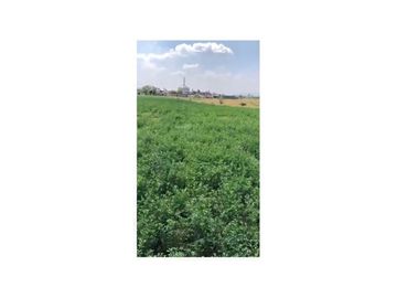 Venta Rancho en Mexicanos Guanajuato