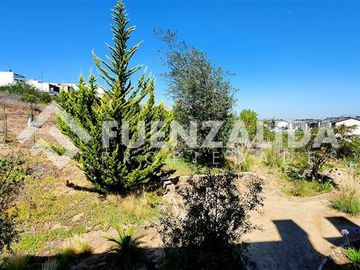 Departamento en Venta en Alto Macul