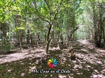 VENTA Hotel de Campo en Exclusiva - 1855m2 construídos y 13,80 hectáreas - Sierras de Córdoba