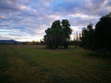 Finca de 22 has en Rama Caida