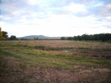 Finca de 22 has en Rama Caida