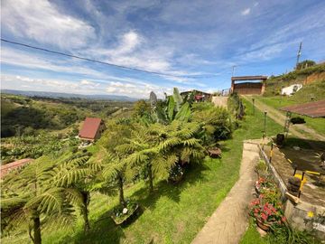 VENTA DE FINCA EN EL PEÑOL. cerca a la piedra