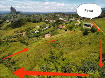 VENTA DE FINCA EN EL PEÑOL. cerca a la piedra