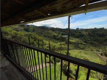 VENTA DE FINCA EN EL PEÑOL. cerca a la piedra