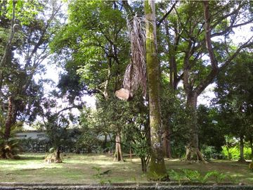 VENTA FINCA RECREATIVA SAN JERONIMO PARCELACION