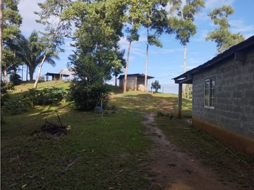 Se Vende Finca de  100 HAS  El Espino-Vía Santa Rita (DR)
