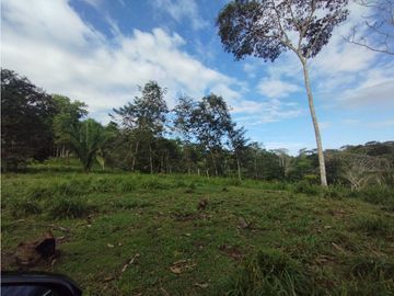 Se Vende Finca de  100 HAS  El Espino-Vía Santa Rita (DR)