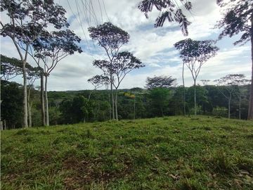 Se Vende Finca de  100 HAS  El Espino-Vía Santa Rita (DR)