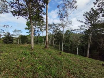 Se Vende Finca de  100 HAS  El Espino-Vía Santa Rita (DR)
