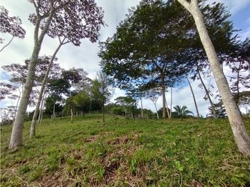 Se Vende Finca de  100 HAS  El Espino-Vía Santa Rita (DR)