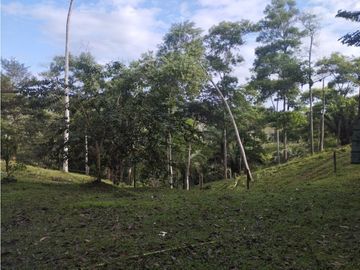 Se Vende Finca de  100 HAS  El Espino-Vía Santa Rita (DR)