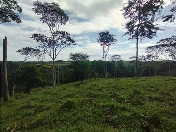 Se Vende Finca de  100 HAS  El Espino-Vía Santa Rita (DR)