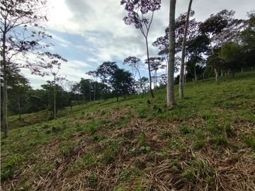 Se Vende Finca de  100 HAS  El Espino-Vía Santa Rita (DR)