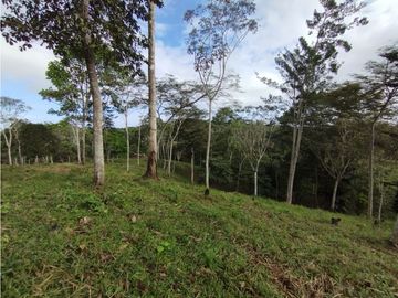 Se Vende Finca de  100 HAS  El Espino-Vía Santa Rita (DR)