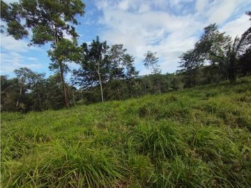 Se Vende Finca de  100 HAS  El Espino-Vía Santa Rita (DR)
