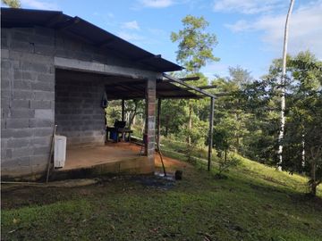 Se Vende Finca de  100 HAS  El Espino-Vía Santa Rita (DR)