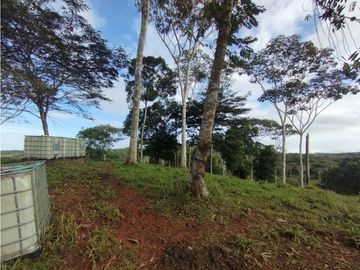 Se Vende Finca de  100 HAS  El Espino-Vía Santa Rita (DR)