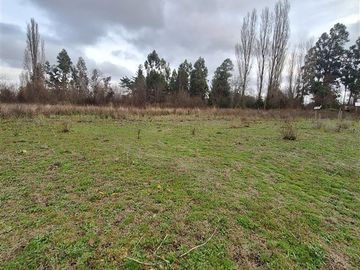Parcela en Venta en Ruta Q-117 Los Angeles Caliboro