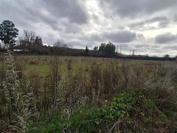 Parcela en Venta en Ruta Q-117 Los Angeles Caliboro