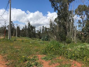 Sitio en Venta en Quebrada de la Finca