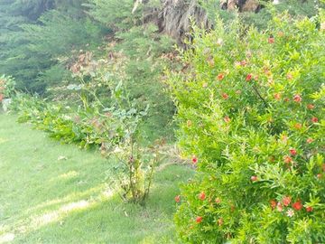 Parcela en Venta en Los Almendros con Ramon Subercaseaux
