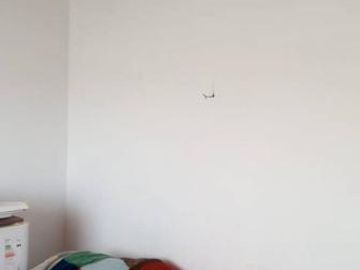 Se vende Casa en Arroyo Leyes