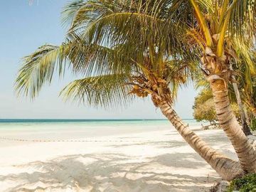 Estrena departamento frente a la playa.