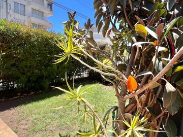 Departamento en venta en CONCON