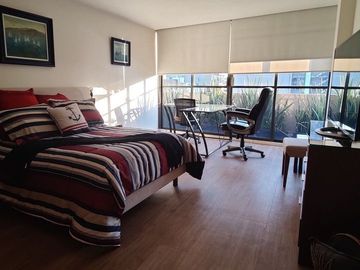 SE VENDE O SE RENTA (AMUEBLADO LA RENTA) ESPECTACULAR PENT HOUSE EN POLANCO (V)