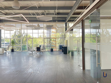 Oficina en renta - 580 m2 - Roma Norte