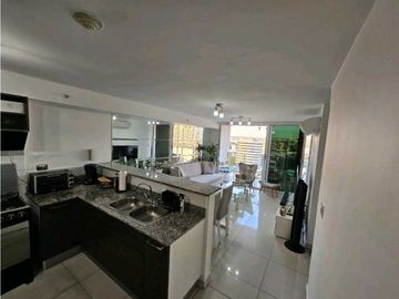 Venta de Apartamento Ph MidPark, Carrasquilla, San Francisco.Cod-J239