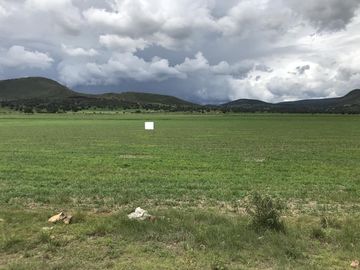 Terreno - Pueblo Tlanalapa