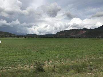 Terreno - Pueblo Tlanalapa