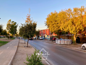 Departamento en Venta en Renovado, Villa Pedro Lira Rencoret, Puente Alto