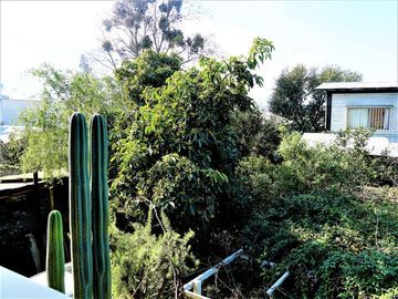 Sitio en Venta en 12 de Febrero con San Alfonso